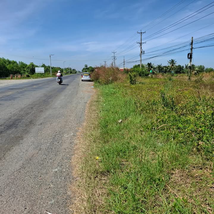 Đất sản xuất kinh doanh 18.000m² mặt tiền QL62 - Giá tốt, vị trí vàng!