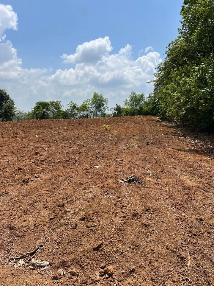 Đất nền Bình An Long Thành 1038m² giá thỏa thuận - Đường xe hơi tận nơi!