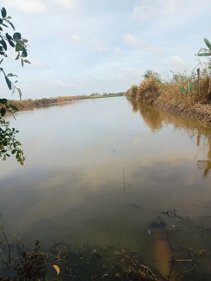 Đất tôm lúa 22 công tại xã Đông Hưng B, An Minh, Kiên Giang - Giá rẻ hơn thị trường!