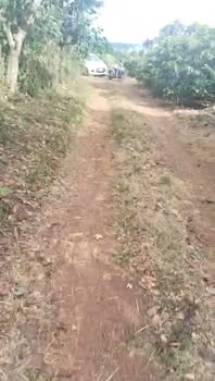 Đất nền 8 xào rưỡi tại Tân Hà, Lâm Hà - Giá chỉ 4.3 tỷ, thương lượng nhẹ!