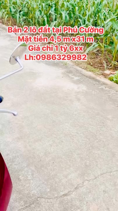 Đất Phú Cường Sơn Lam 152m² giá 1.6 tỷ - Đầu tư sinh lời ngay!