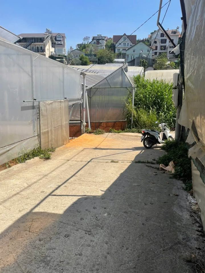 Bán lô đất đường Lý Nam Đế, Đà Lạt 1156m² giá 8.5 tỷ - Sổ đỏ chính chủ