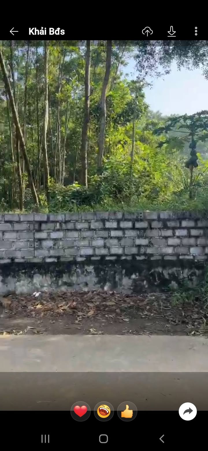 Đất nền đầu tư tại phường Tây Hoa Lư, Ninh Bình - Diện tích 700m², giá thỏa thuận!