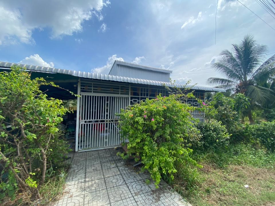 Đất nền 800m² xã An Trường, Càng Long - Giá chỉ 800 triệu, thích hợp làm vườn nghỉ dưỡng!