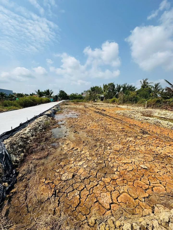 Đất nền Thuận Mỹ, Châu Thành, Long An - Diện tích 150m² giá chỉ từ 450 triệu