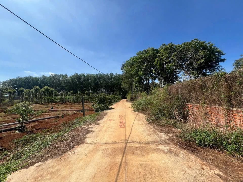 Đất nền phường Tân An 4000m² giá 8.4 tỷ - Đối diện UBND, hẻm ô tô vào tận nơi!