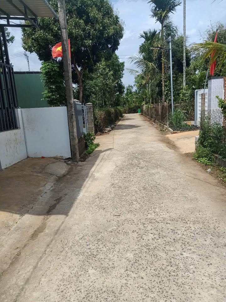 Đất Hòa Thắng 135m² giá 1.2 tỷ - Mặt tiền đường bê tông, vị trí đắc địa!