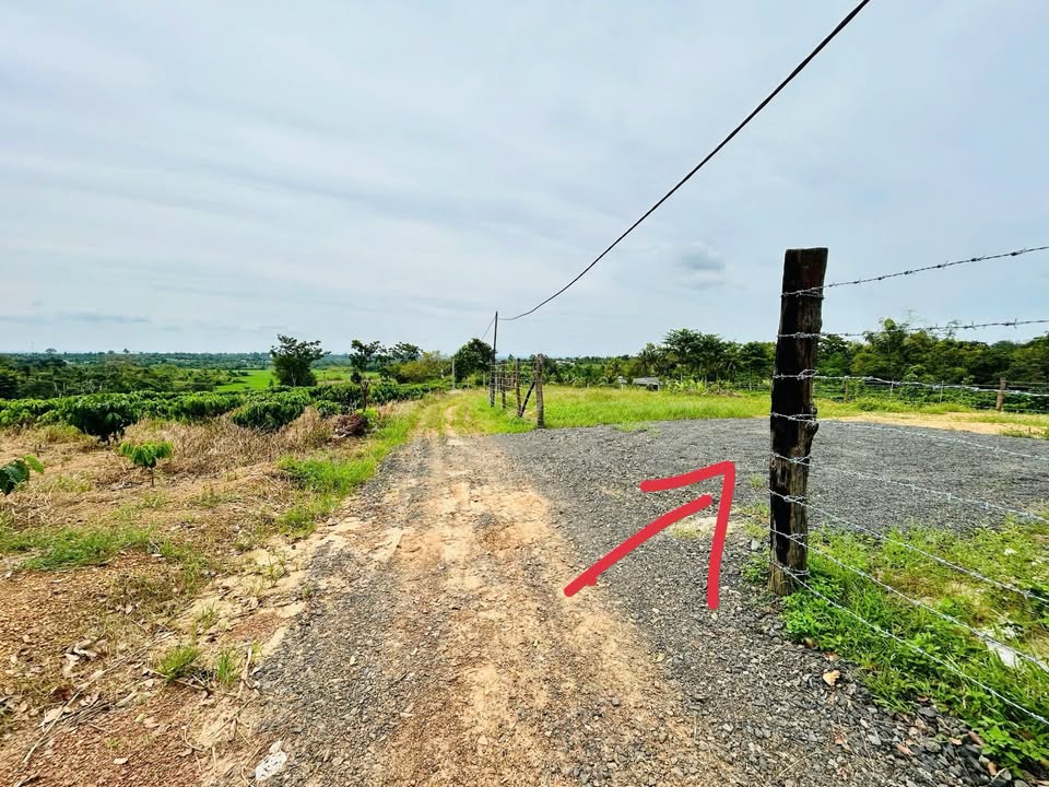 Đất nền 2,1 sào tại Cuôr Knia, Buôn Đôn - Giá chỉ 680 triệu - Tiềm năng sinh lời cao!