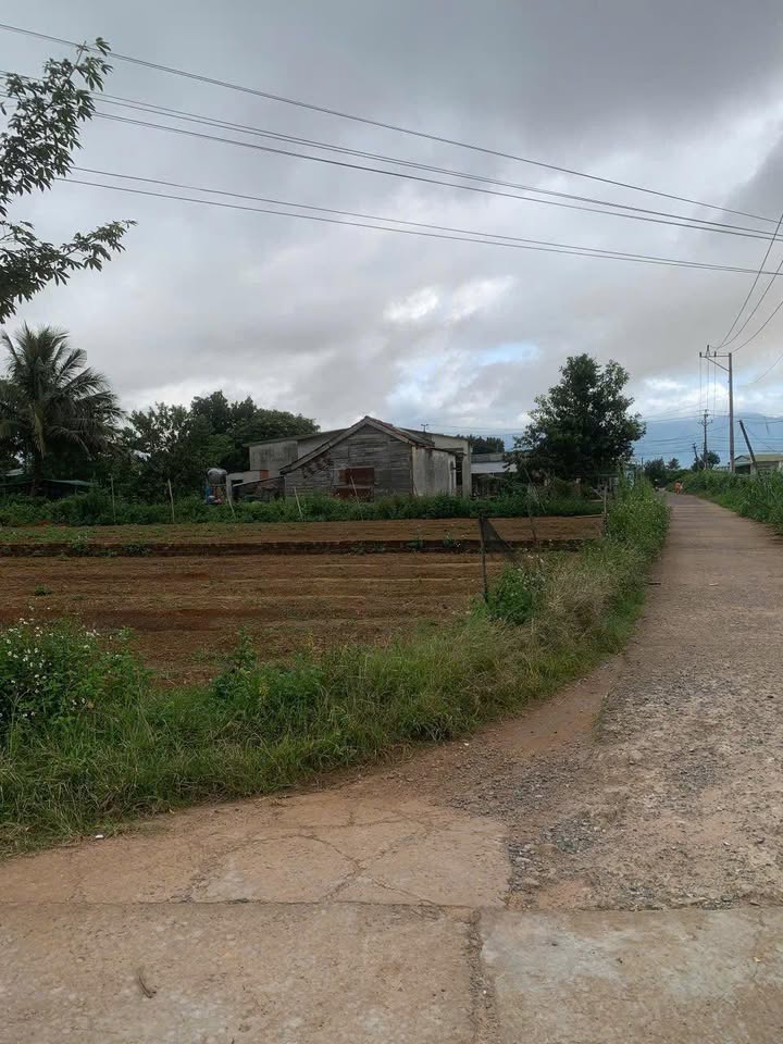 Đất nền Hòa Thành Krông Bông 1500m² giá 1.8 tỷ - Đường oto vào tận nơi!