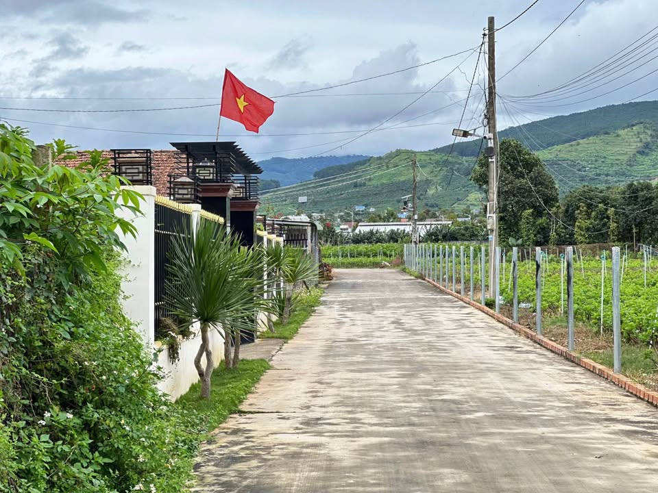 Đất nền 1 sào tại Cư Xá Hiệp Thạnh, Đức Trọng - Giá 5.5 tỷ, cơ hội đầu tư tuyệt vời!