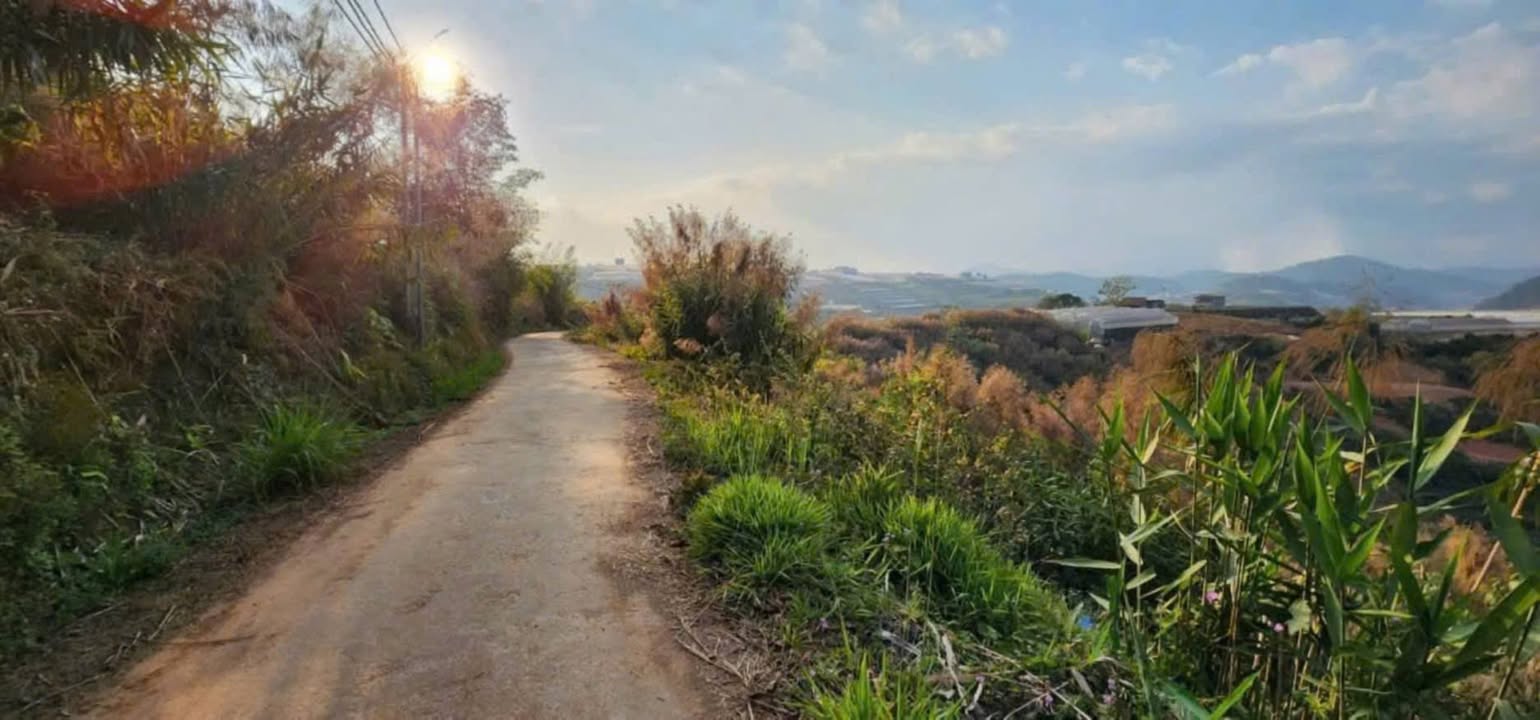 Đất nền Xuân Thọ, Đà Lạt 679m² giá 2 tỷ - Cơ hội đầu tư tuyệt vời!