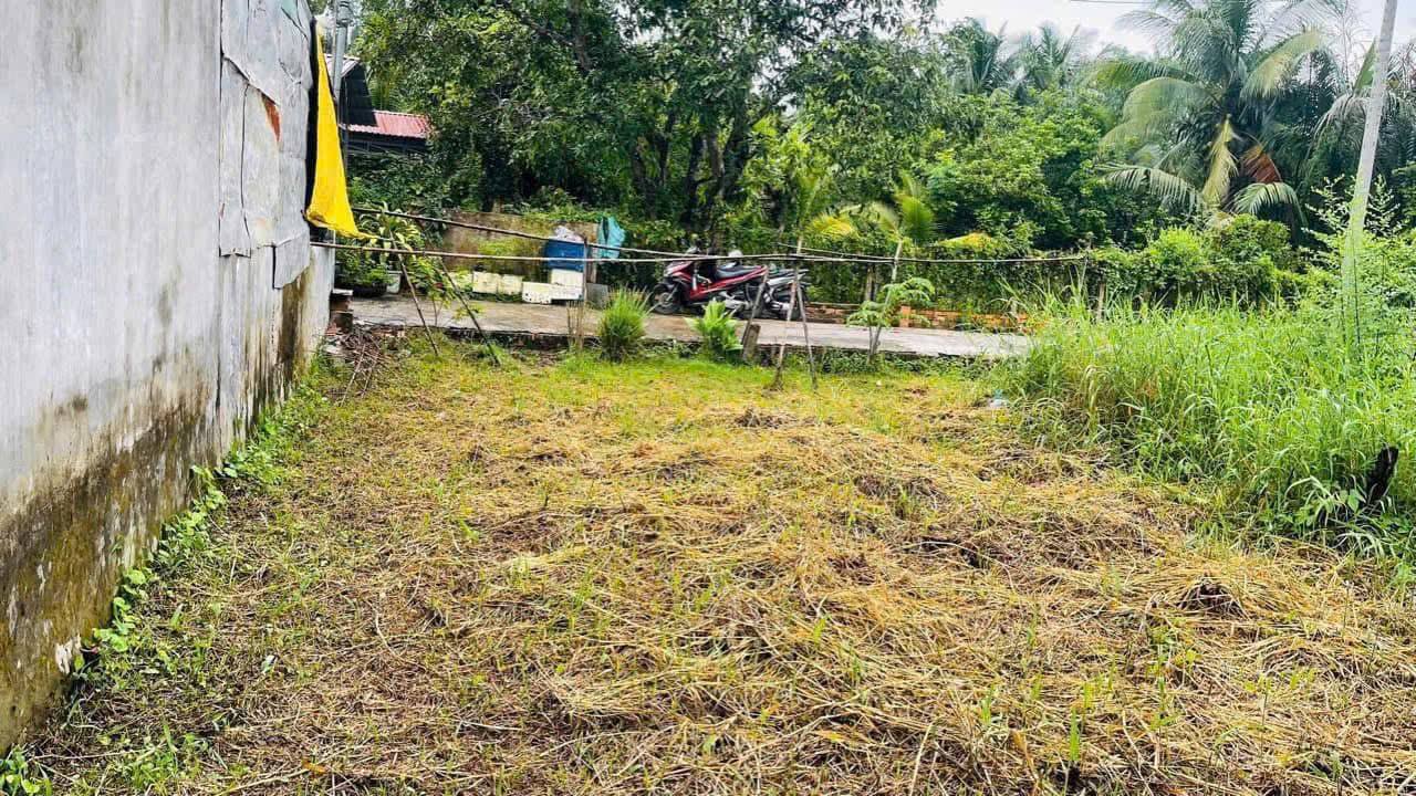 Đất nền chính chủ 96.20m² gần chợ Phó Thọ - Giá chỉ 880 triệu!