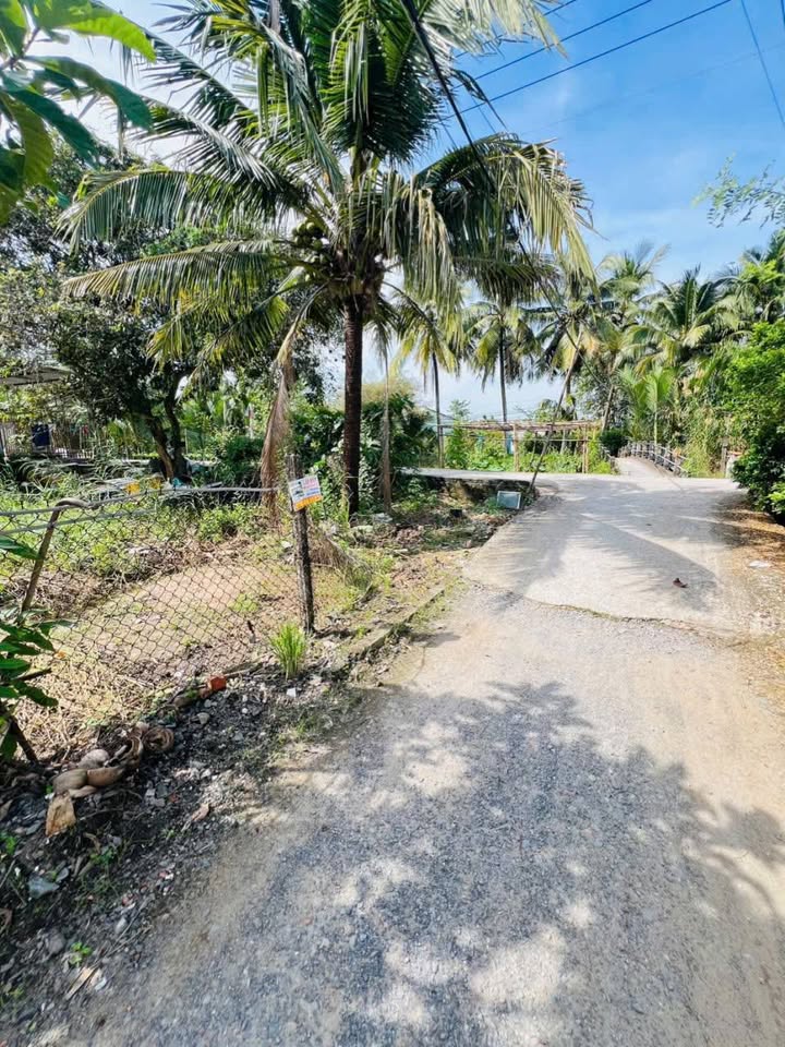 Đất Biệt Thự Góc 2 Mặt Tiền Đường Nguyễn Thanh Sơn, Cần Thơ 154.5m² - Đầu tư sinh lời cao!