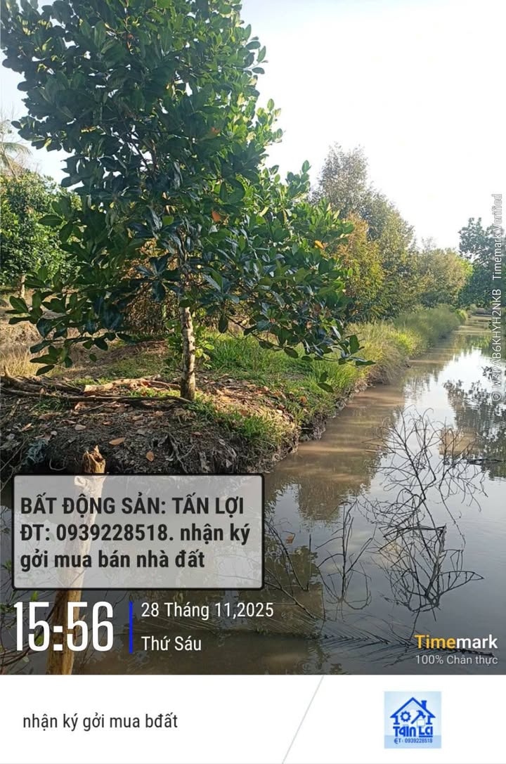 Đất trồng sầu riêng và mít tại phường Đại Thành, Cần Thơ 3500m² - Giá chỉ 1.4 tỷ VND!