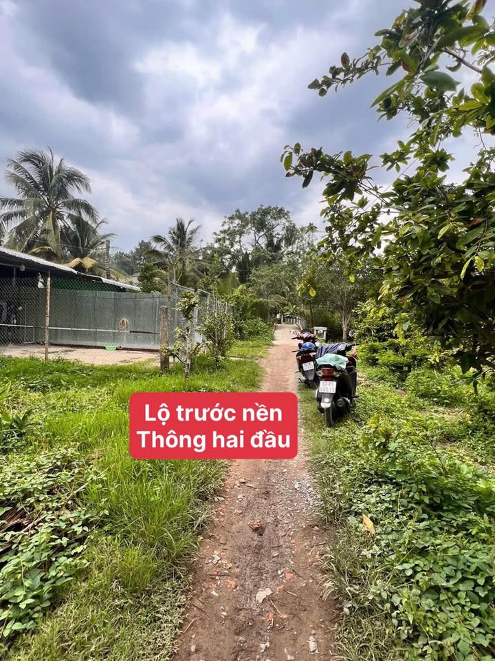 Đất nền Trường Lạc, Ô Môn 244m² giá chỉ 550 triệu - Đầu tư sinh lời ngay!