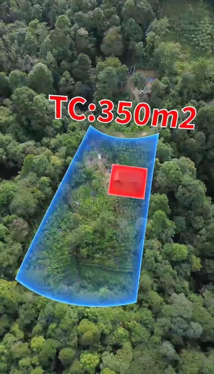 Đất nền Sa Pa 3000m² giá 2 tỷ - Nơi trú ẩn tuyệt vời giữa thiên nhiên!