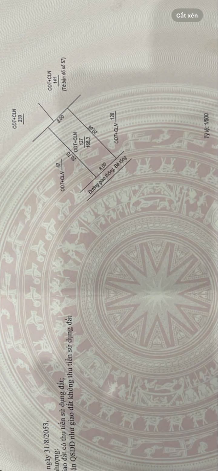 Đất nền chính chủ Nam Lý 160m² giá chỉ 1.2 tỷ - Cơ hội đầu tư hấp dẫn!