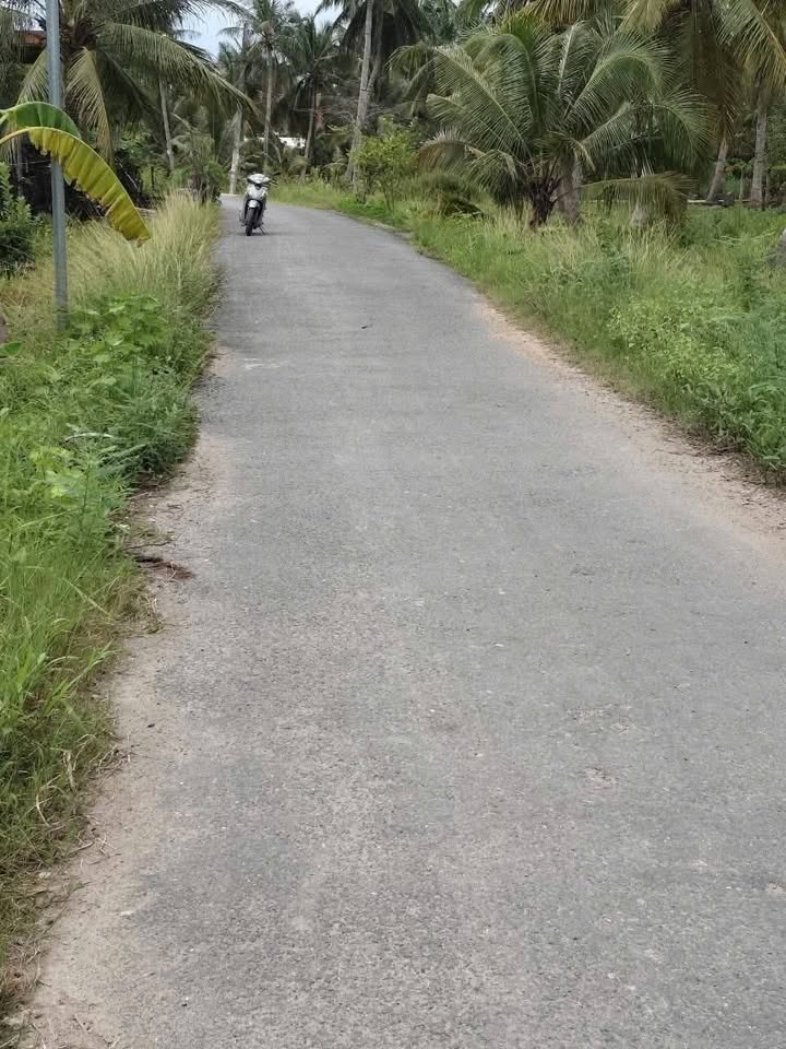 Đất mặt tiền lộ nhựa Tân Thành Bình, Mỏ Cày Bắc 868m² - Giá chỉ 720 triệu, không thương lượng!