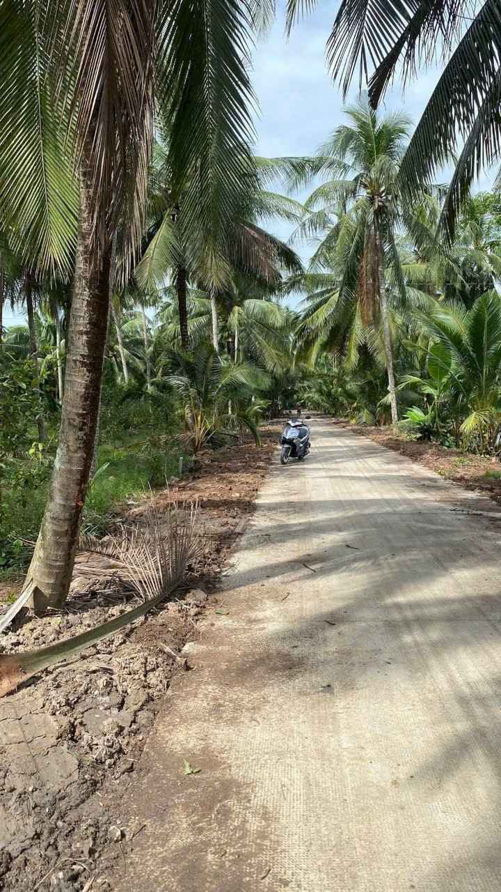 Đất nền Phong Nẫm, Giồng Trôm 837m² giá 750 triệu - Đường nông thôn thuận tiện!