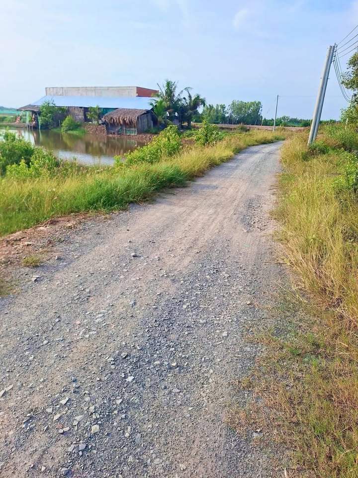 Đất Bảo Thạnh, Ba Tri 3350m² chỉ 1.206 tỷ - Cơ hội đầu tư tuyệt vời!