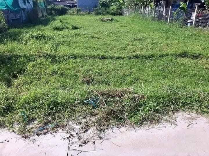 Đất thổ cư Long Thuận, Hồng Ngự 176m² giá 550 triệu - Đầu tư ngay!