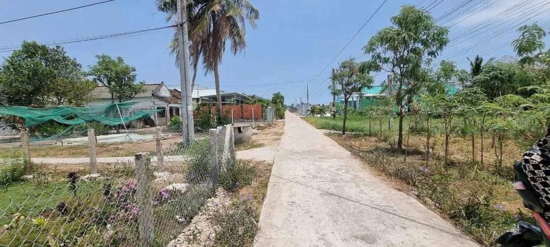 Đất nền ấp 5 Tân Tây, Gò Công Đông, Tiền Giang 530m² giá chỉ 350 triệu - Lô góc 2 mặt tiền!