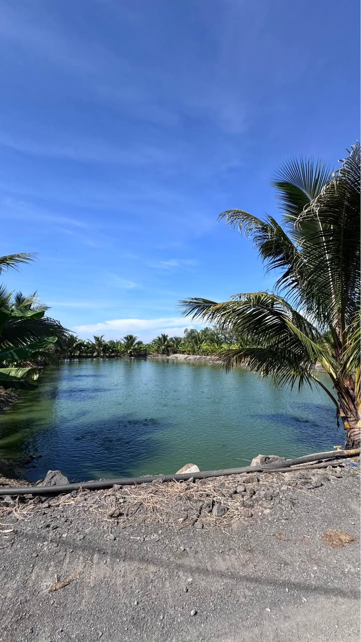 Đất vườn 2900m² xã Bàu Hàm, giá chỉ 1.3 tỷ - Cơ hội đầu tư tuyệt vời!