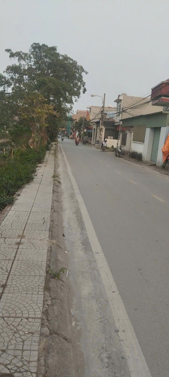 Đất nền 202m² tại Tràng Cát, Hải An - Sổ đỏ chính chủ, giá chỉ 2.22 tỷ!