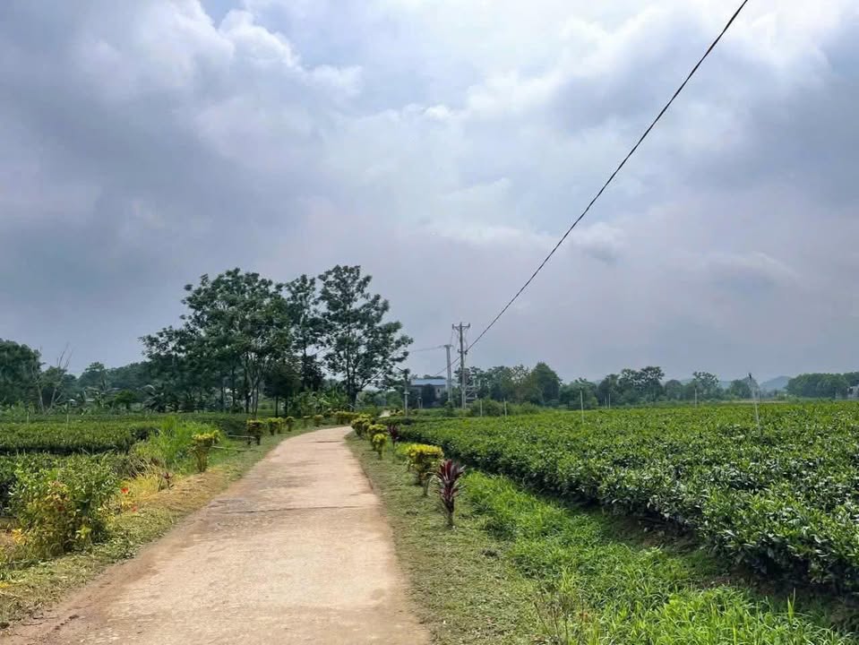 Đất thổ cư Vô Tranh Thái Nguyên 140m² giá chỉ 370 triệu - Vị trí thuận lợi cho đầu tư!