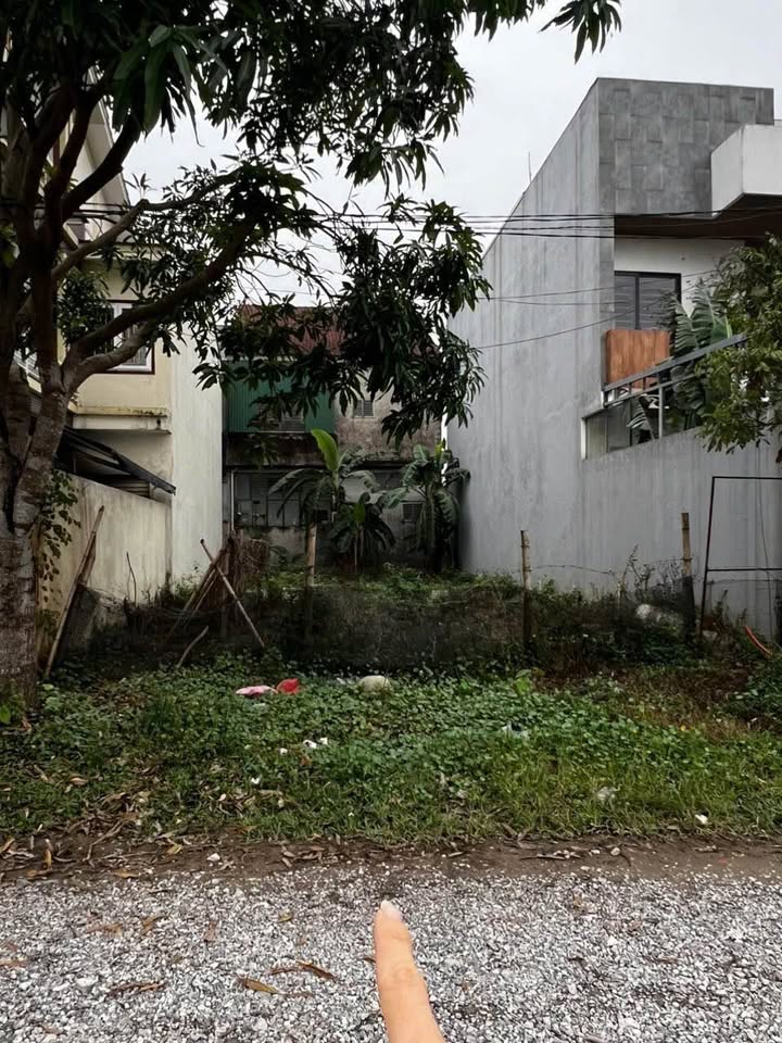 Đất nền Nghi Phú 160m² giá 7.2 tỷ - Vị trí trung tâm, tiện đầu tư!