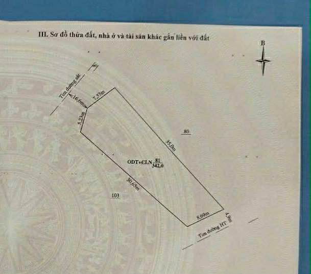 Đất nền Phố Nam Sơn, An Hưng, Thanh Hóa 342m² giá 3.42 tỷ - Cơ hội đầu tư hiếm có!