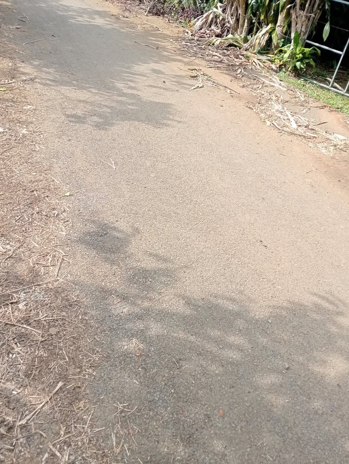 Đất nền xã Tân Lạc, Bảo Lâm 3000m² giá chỉ 2.2 tỷ - Cơ hội đầu tư tuyệt vời!