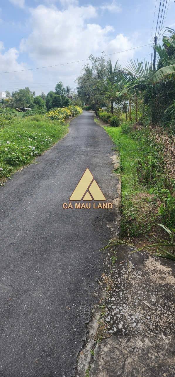 Đất nền ấp 3, xã Tắc Vân, Cà Mau 1040m² - Sổ hồng chính chủ, giá chỉ 1.6 tỷ!
