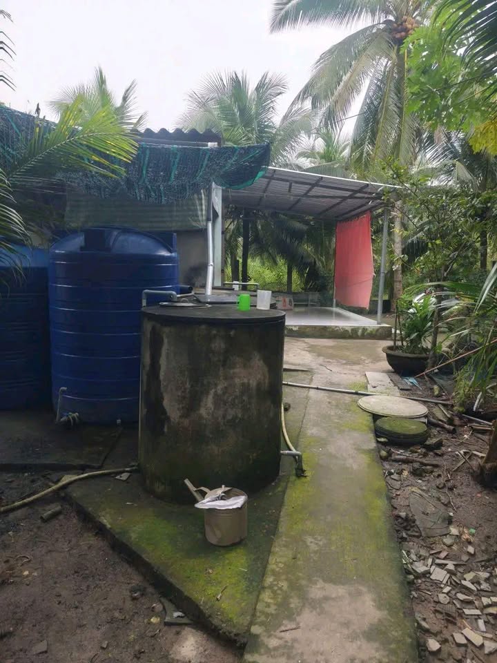 Đất nền Tân Thanh, Giồng Trôm, 1400m² - Giá chỉ 850 triệu, phù hợp đầu tư!