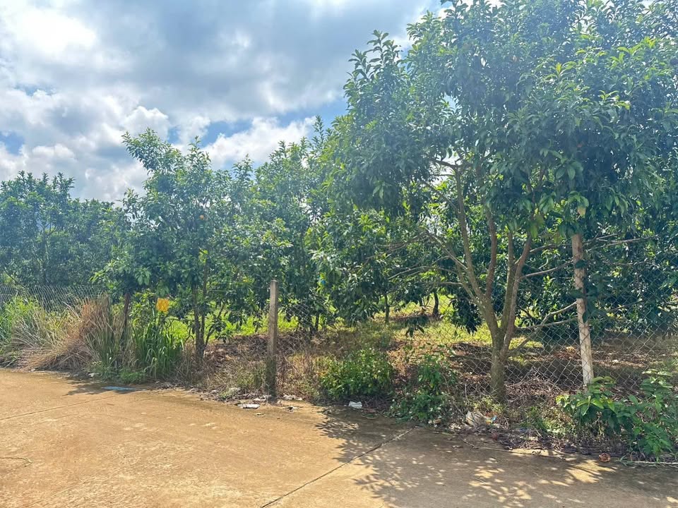 Đất Mê Linh, Lâm Hà 591m² giá 2.3 tỷ - Sẵn sàng cho nghỉ dưỡng lý tưởng!