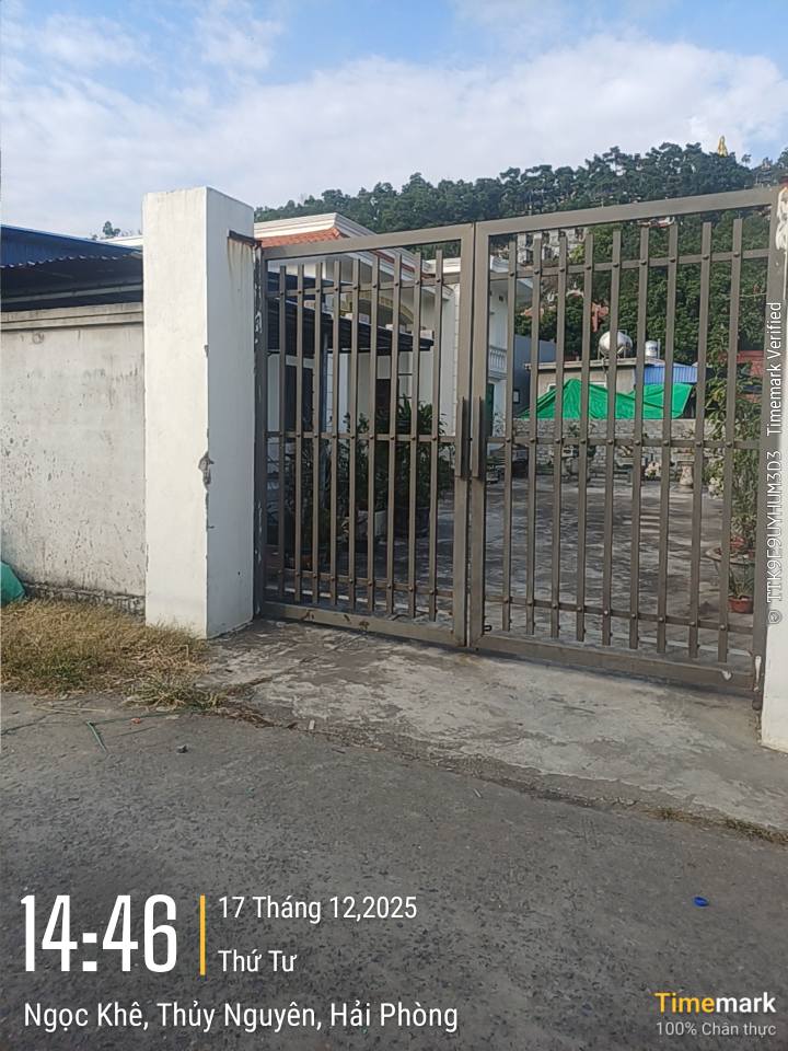 Đất nền Thủy Nguyên 350m² giá 3.8 tỷ - Chính chủ bán gấp, đường thông rộng rãi!