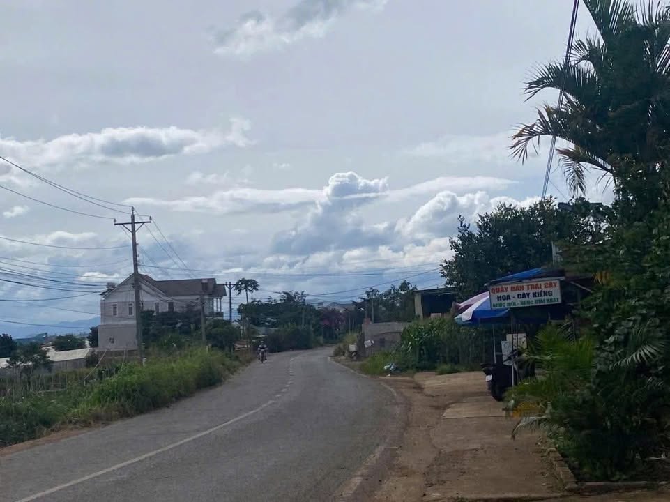 Đất mặt tiền Lê Hồng Phong, Đức Trọng 5000m² giá chỉ 30 tỷ - Đầu tư sinh lời ngay!