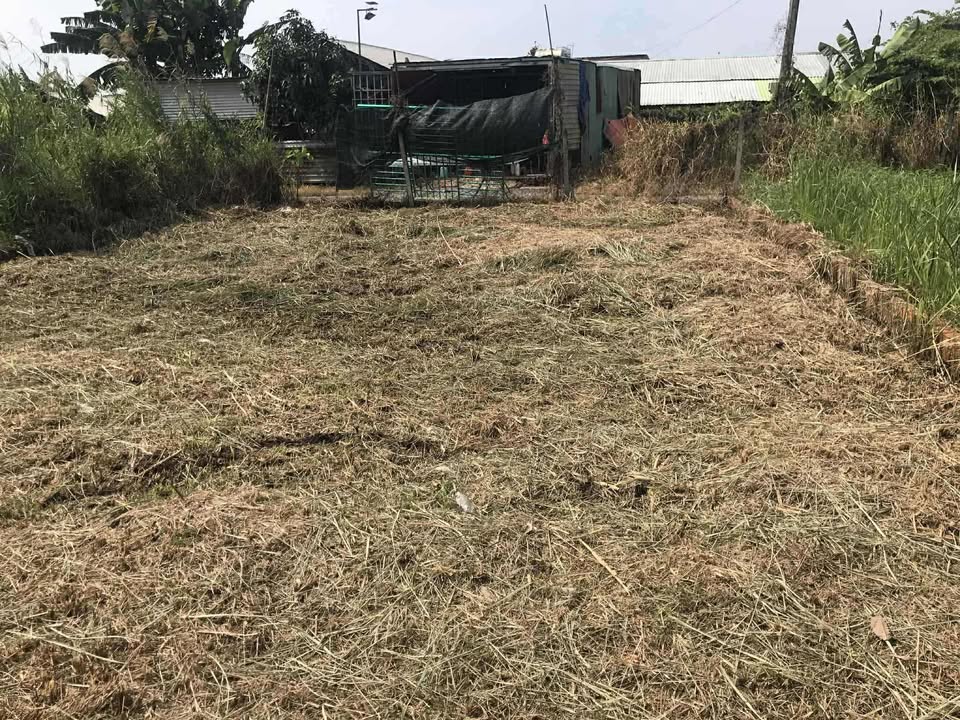 Đất thổ vườn Đông Thạnh Hóc Môn 66m² giá chỉ 690 triệu - Cơ hội đầu tư tuyệt vời!