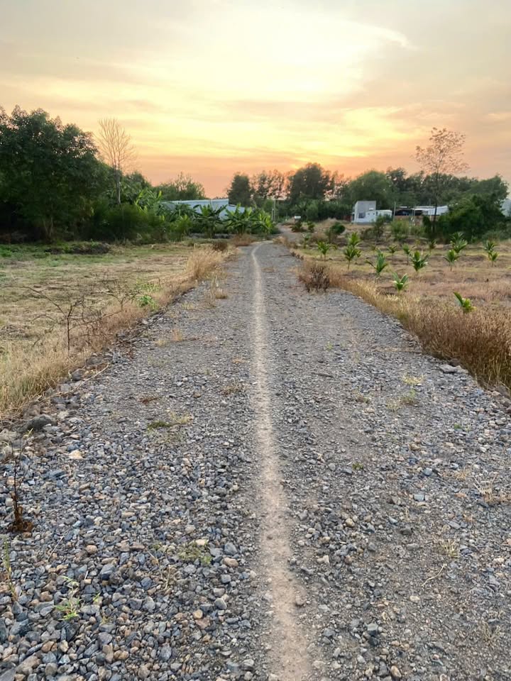 Đất nền Gia Kiệm, Thống Nhất, 1000m² giá 1.29 tỷ - Sổ hồng chính chủ!