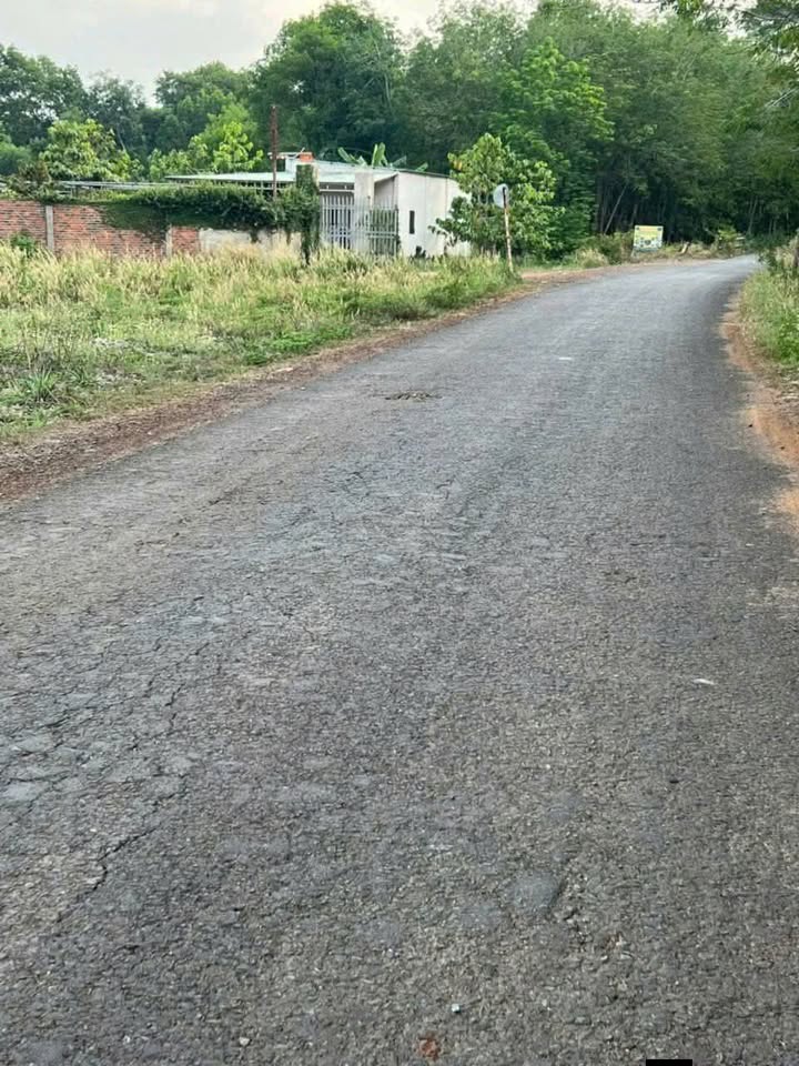 Đất thổ cư Phước An 2700m² giá 900 triệu - Mặt tiền đường nhựa đẹp