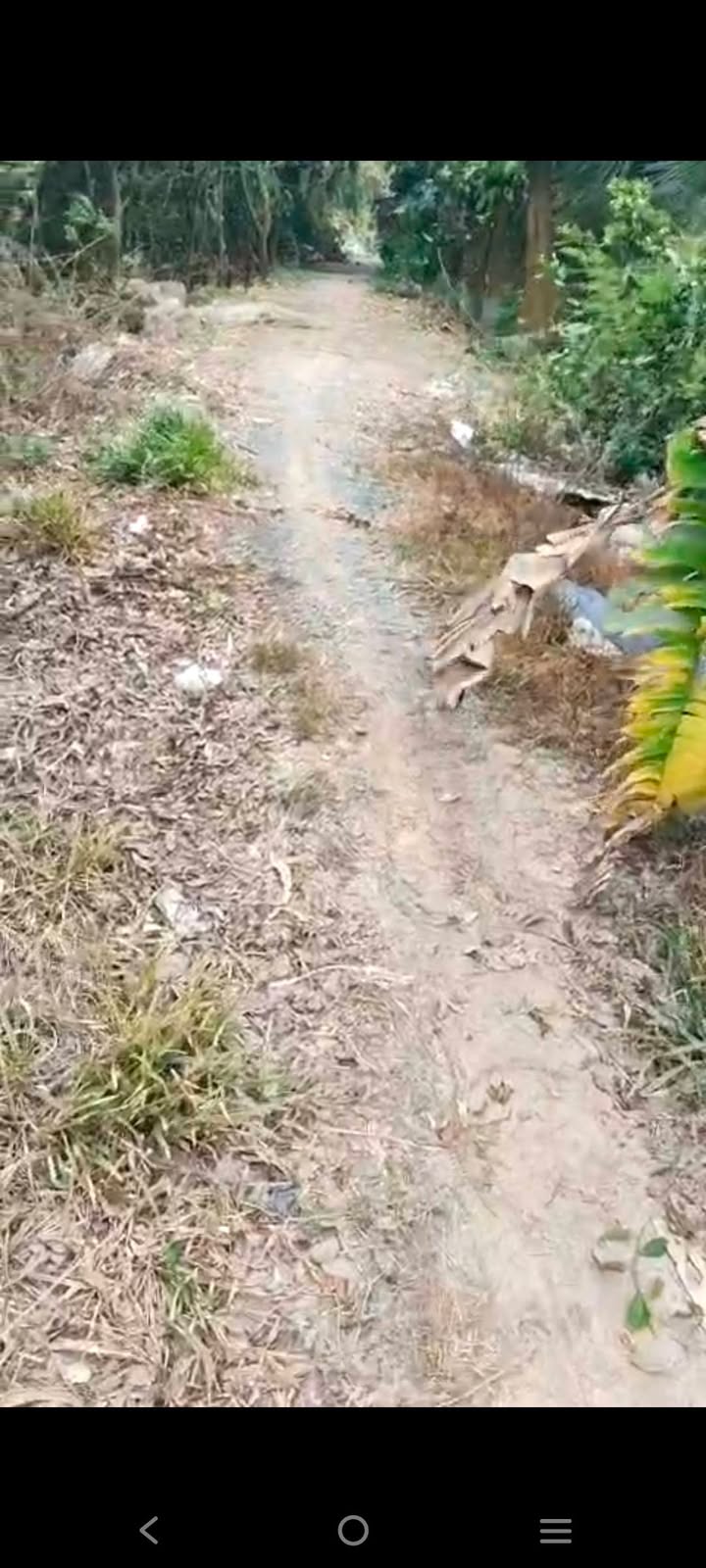 Đất nông nghiệp 36.000m² tại Ba Sao, Cao Lãnh - Giá 4.41 tỷ, đầu tư sinh lời!