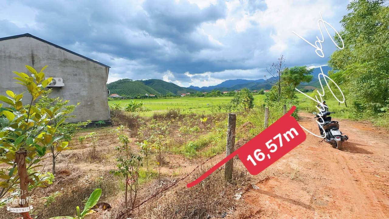 Đất nền Linh Tràng, Bình Khê 508m² chỉ 400 triệu - Sổ hồng chính chủ!