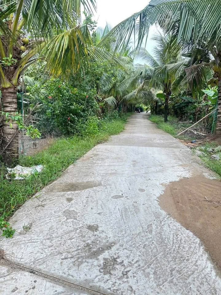 Đất vườn 10.675m² tại Thạnh Lộc, Châu Thành - Đầu tư sinh lời, giá chỉ 420 triệu!