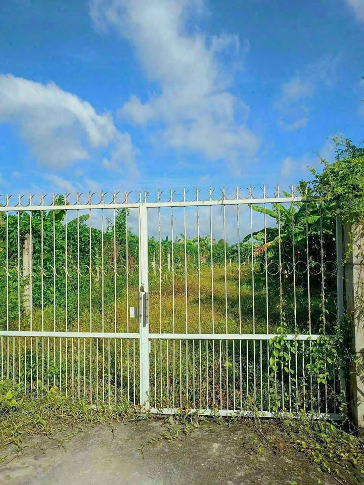 Lô đất đường Bờ Kênh, phường 3, TP Tân An, 252.6m² - Giá chỉ 2.2 tỷ!