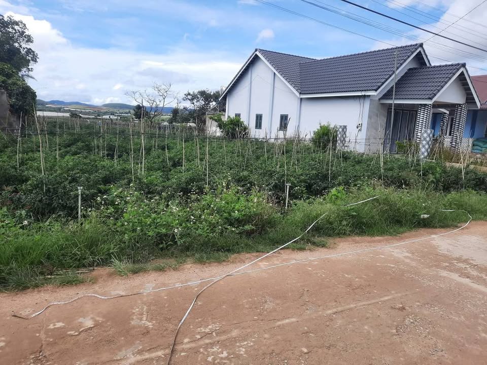 Đất thổ cư 200m² tại Sao Mai, Đơn Dương, Lâm Đồng - Giá chỉ 2.3 tỷ