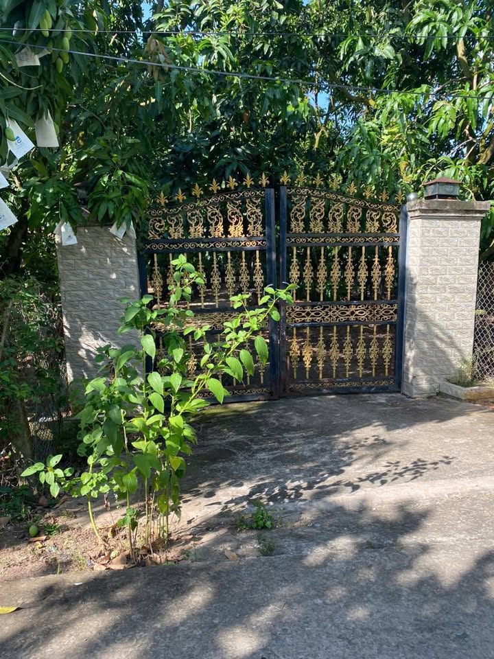 Đất thổ cư 1000m² tại Cầu Hoà Lợi, Cao Lãnh - Sổ đỏ chính chủ, giá thỏa thuận