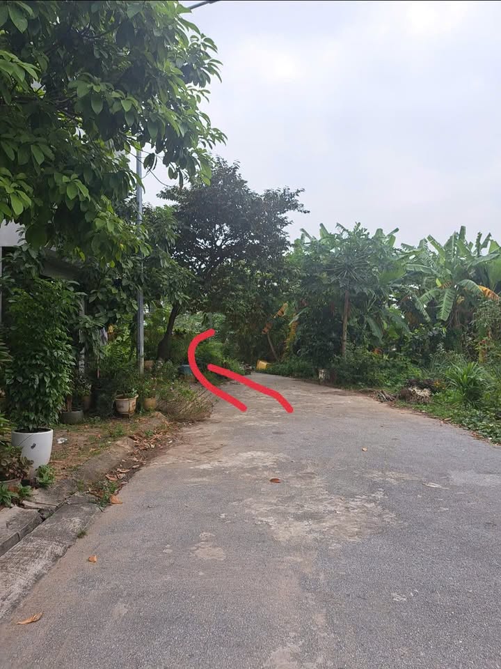 Đất nền Yên Mẫn, Bắc Ninh 75m² giá 6.x tỷ - Cơ hội đầu tư tuyệt vời!