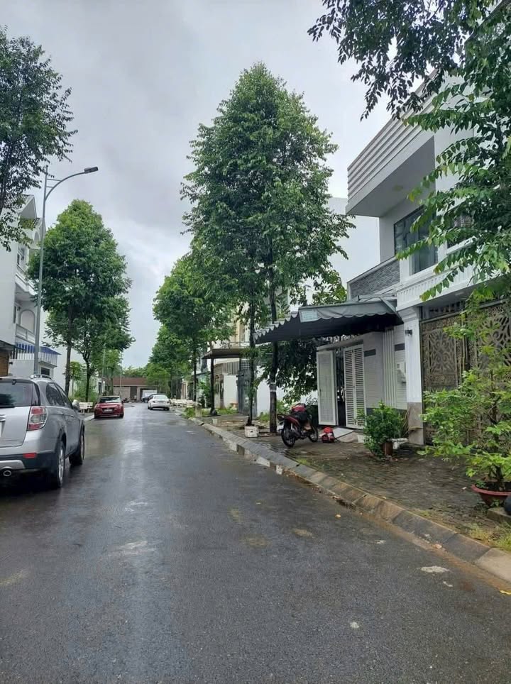 Đất nền 100m² tại Quốc Lộ 50, xã Phong Phú, Bình Chánh - Phong thủy tốt, đầu tư sinh lời!