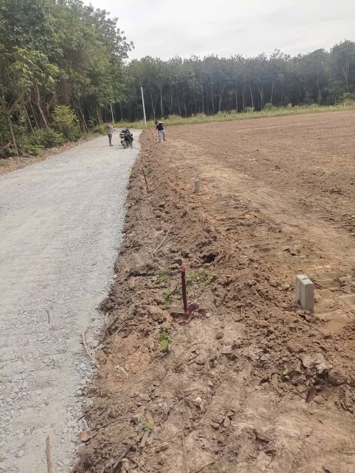 Đất nền Hòa Lợi, Bến Cát 381.9m² giá chỉ 700 triệu - Cơ hội đầu tư không thể bỏ qua!