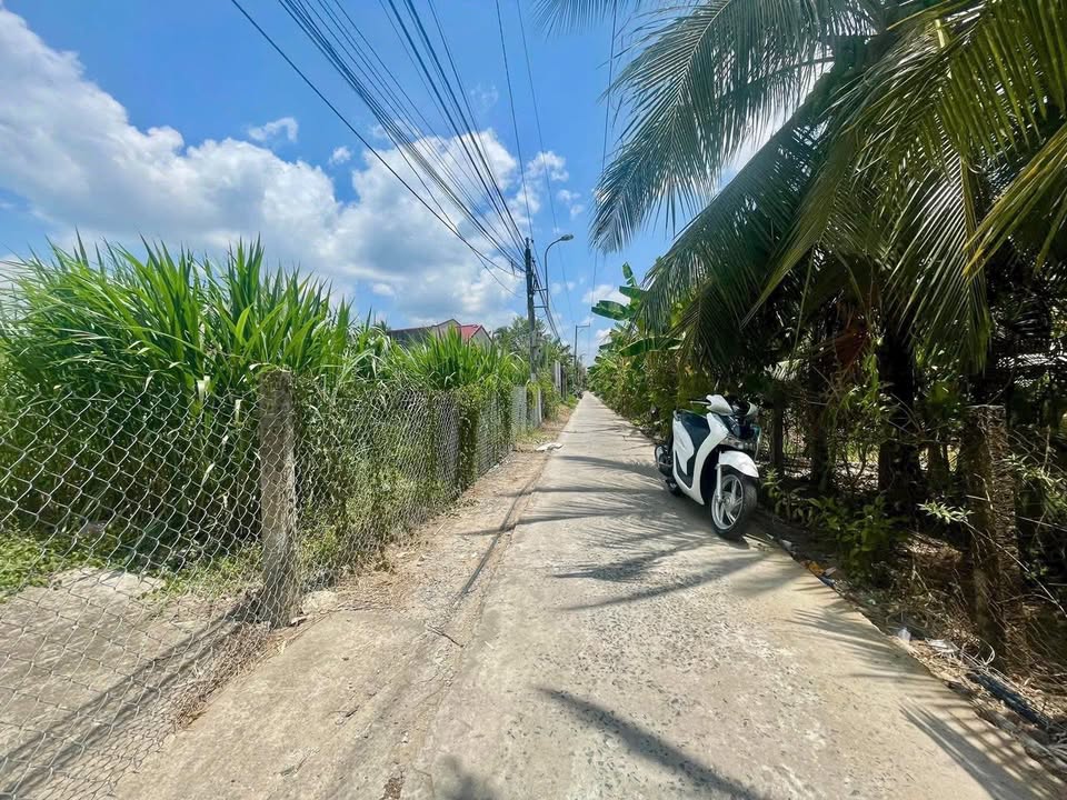 Đất nền 1712m² Ấp Long Hoà A, Xã Đạo Thạnh, giá 4.8 tỷ - Gần ĐT879